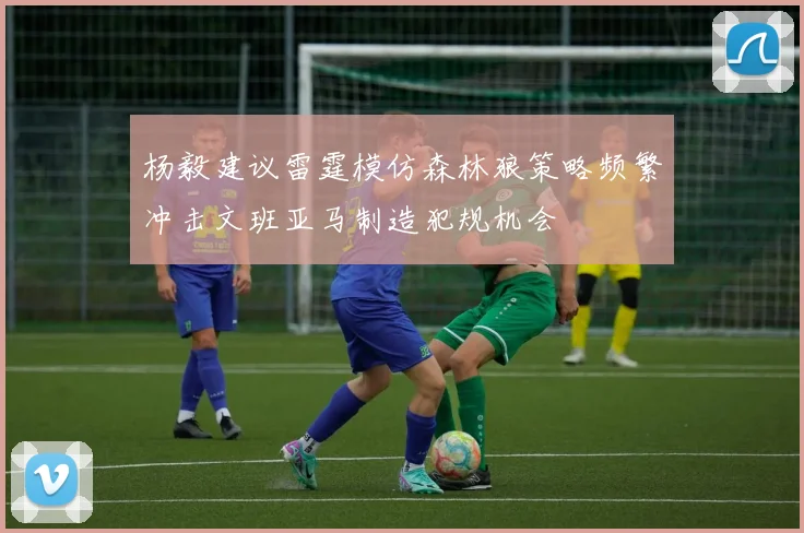 杨毅建议雷霆模仿森林狼策略频繁冲击文班亚马制造犯规机会